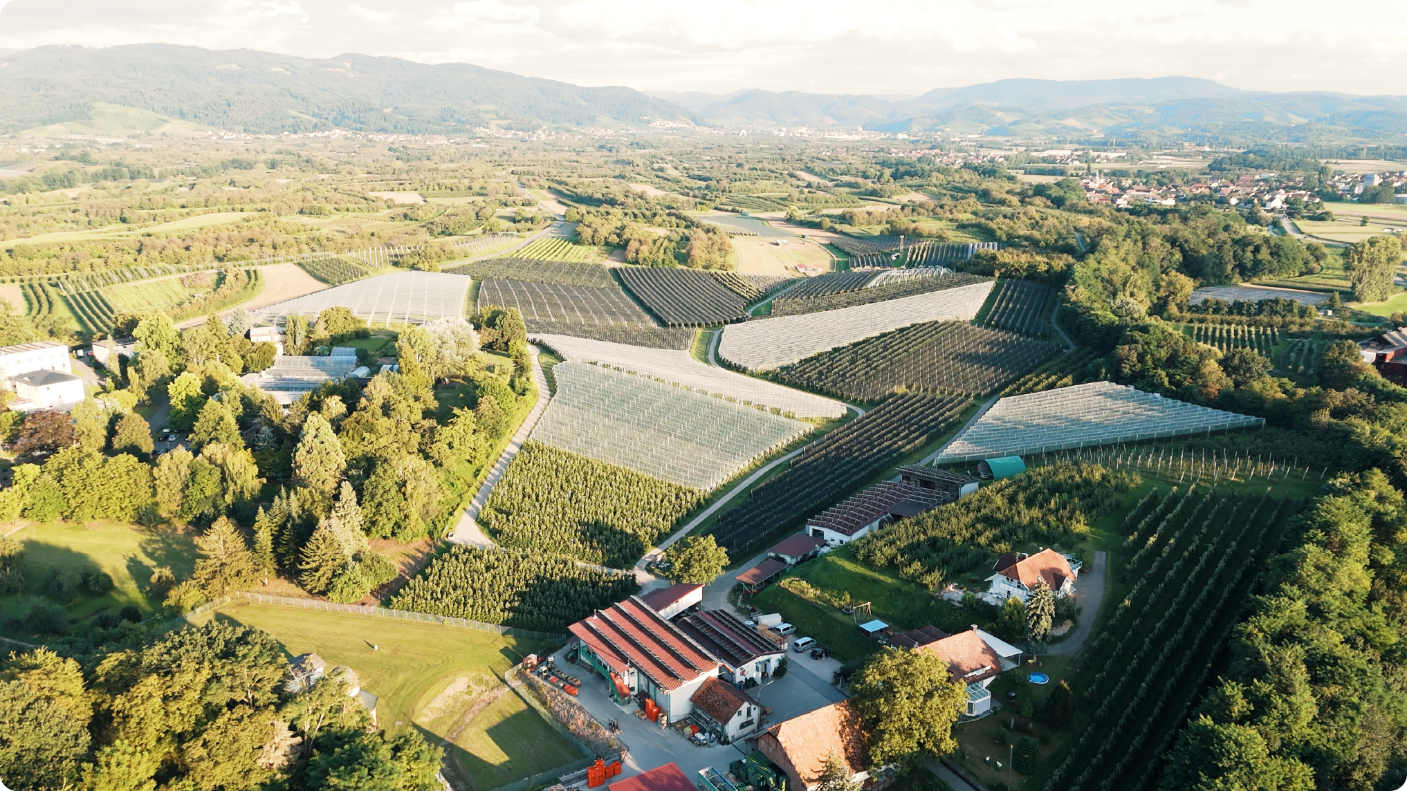 //MARKTBOX – OBSTHOF ZINK